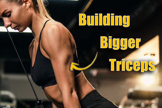 Building Bigger Triceps