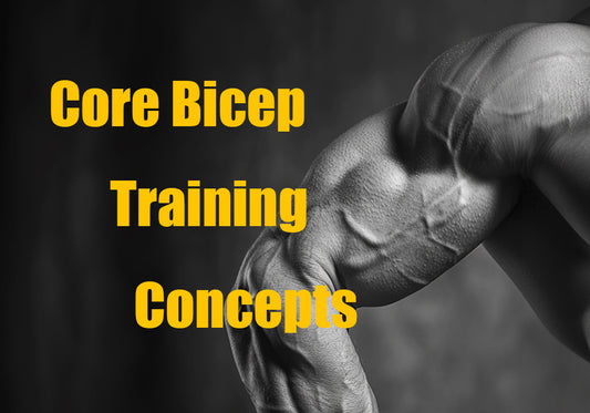 Core Bicep Training Concepts