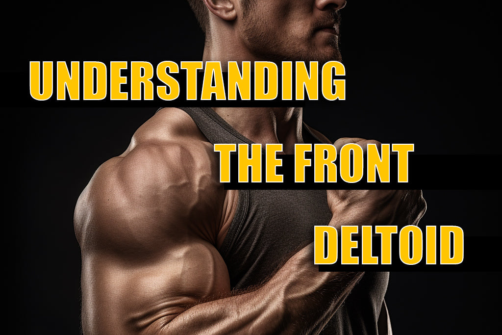 Understanding The Front Deltoid