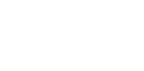 IronSpark Logo White